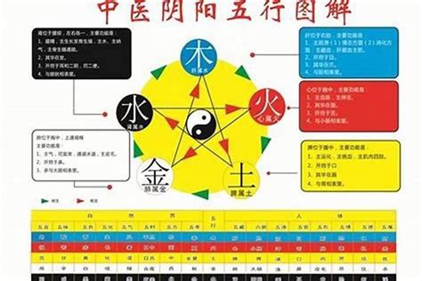 九 五行|九字的五行属性